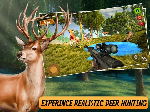 Wild Deer Forest Safari Questのおすすめ画像1