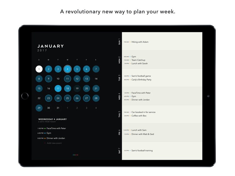 Timepage for iPad – Calendar by Moleskine screenshot-0