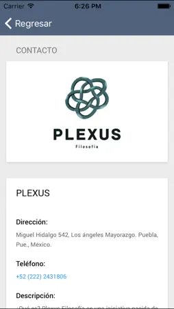 Plexus screenshot 4