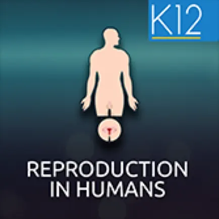 Reproduction in Humans Cheats