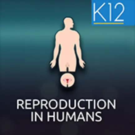 Reproduction in Humans Читы