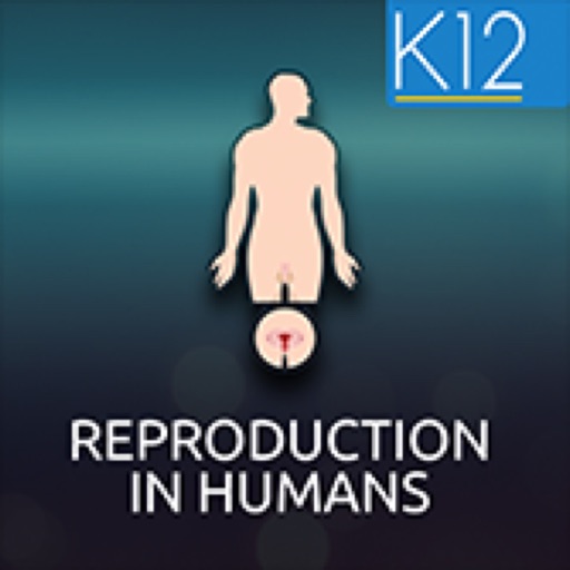 Reproduction in Humans icon