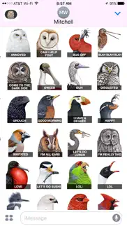 ibird stickers problems & solutions and troubleshooting guide - 2