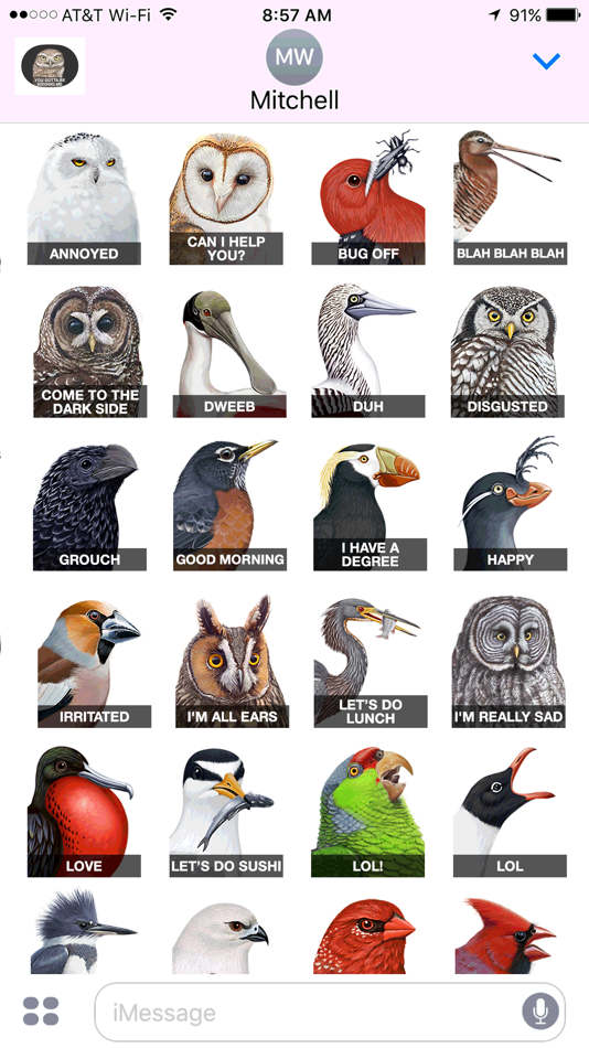 #1. iBird Stickers (iOS) 来自: Mitch Waite Group