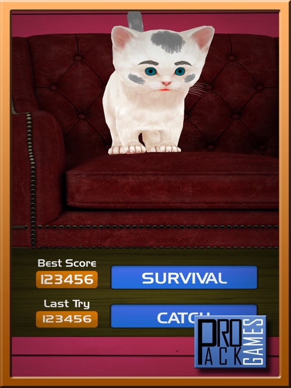 Screenshot #4 pour Runaway Valentine Cat - Jeux Cute Kitten