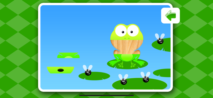 Wooden Puzzles for Kids