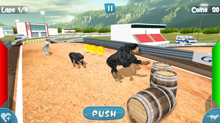 Greyhound Derby Dog Racing - Wild Dog 3D Simulator screenshot-4