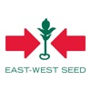 Mundo East-West Seed