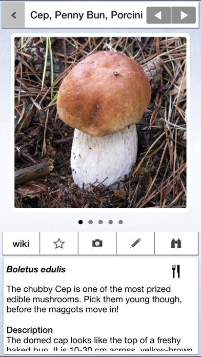 Mushrooms & other Fungi UKのおすすめ画像3