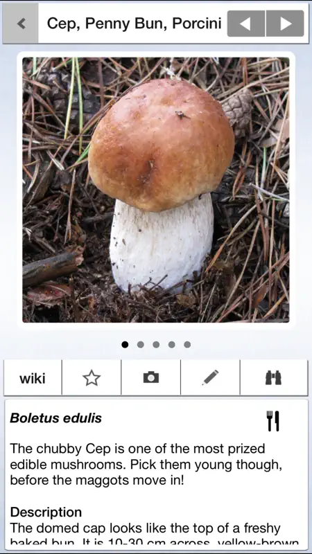 Mushrooms & other Fungi UK screenshot 3 of 8