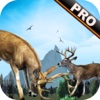 Deer Sniper shooter game Pro