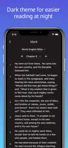 Holy Bible App - Audio&Prayer screenshot #7 for iPhone