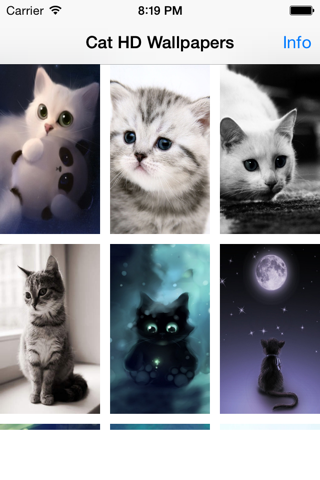 Cute Cats Wallpapers (HD) - Best Kitty Backgrounds screenshot 2