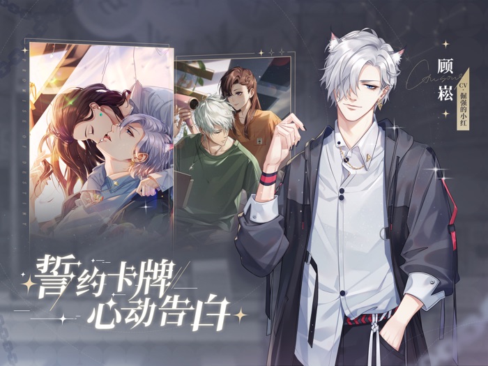 猫之宿约者-原创剧情，四世相恋