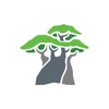 Baobab Platform icon