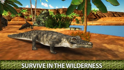 Angry Crocodile 3D Simulator - Wild Alligator 1.0 IOS -