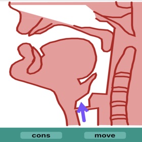 SpeechArticulationTrainer