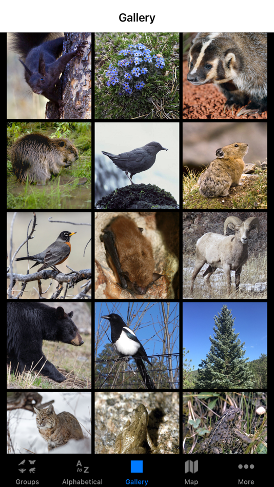 #3. Rocky Mountain NP Field Guide (iOS) By: ParksConnect
