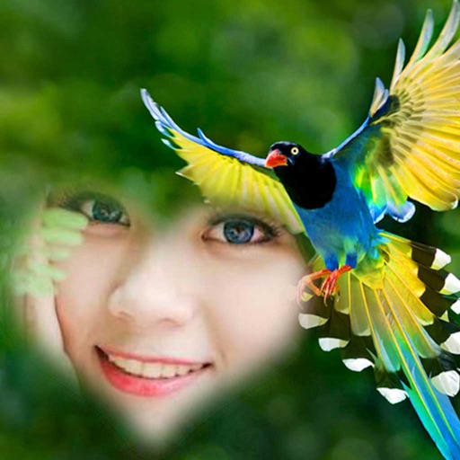 Birds Photo Frame - Best Photo Frame Editor