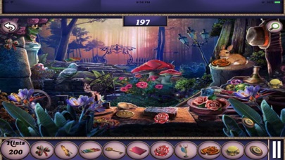 Mystery Night Hidden Objects Screenshot