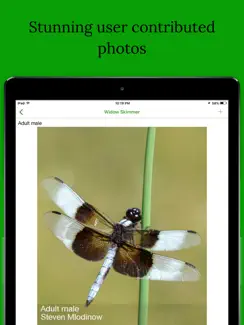 Dragonfly Damselfly ID App iPad image 2