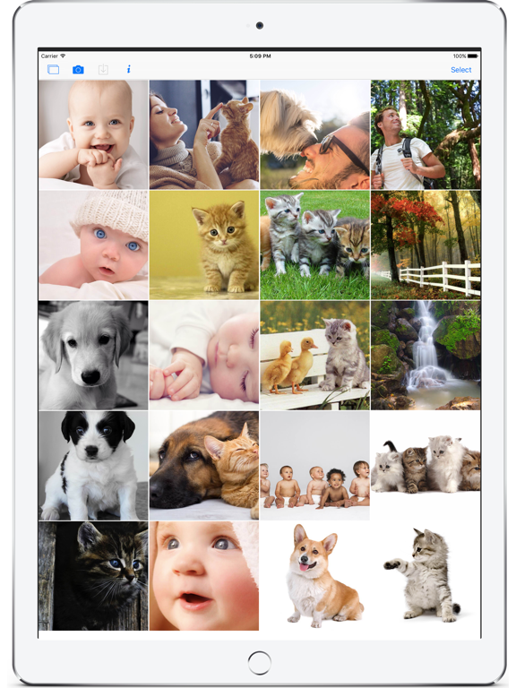 PhotoZonic iPad screenshot 4 - Photo & Video app