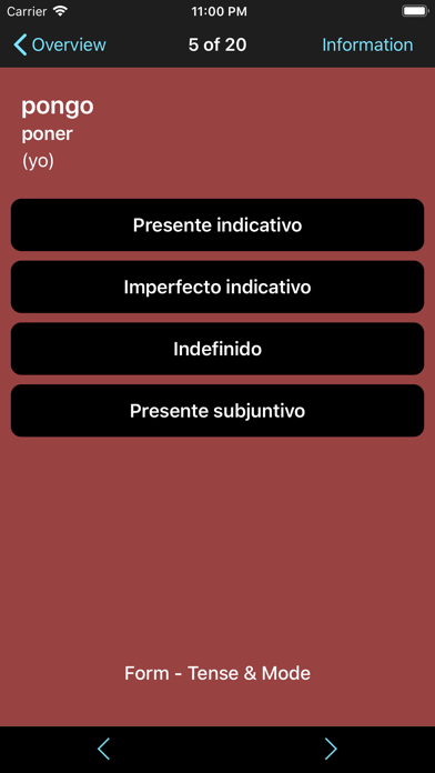 Spanish Verbs & Conjugation Screenshot