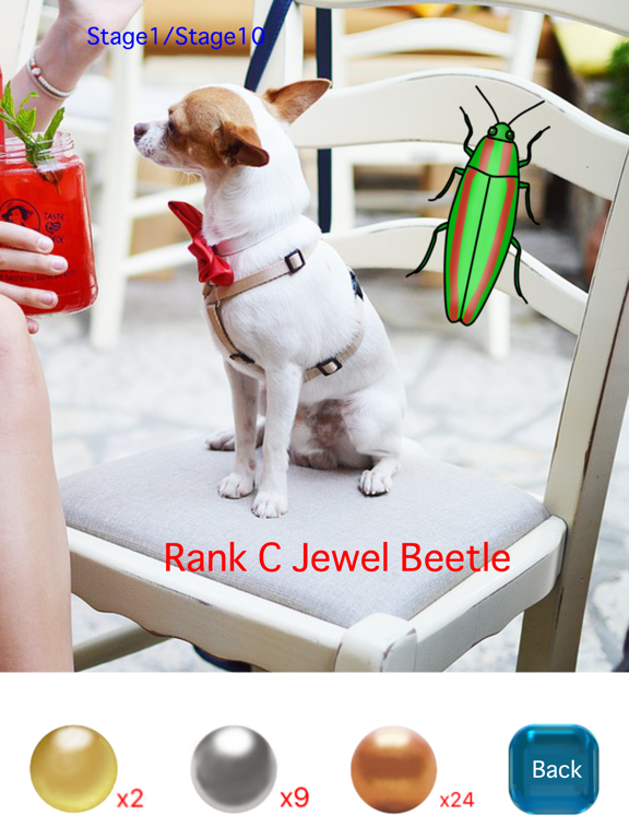 Dora-chan's Insect Collecting GO! iPad screenshot