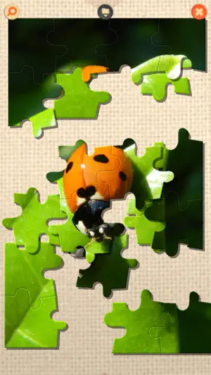 PuzzleX Phone screenshot 2