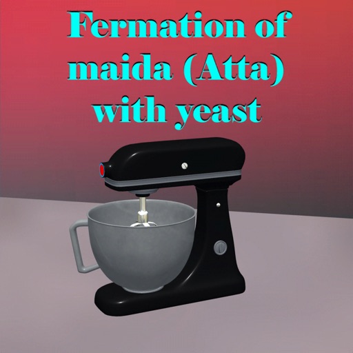 Fermation of maida  with yeast icon