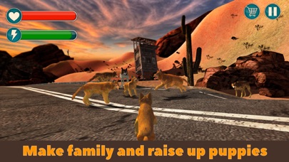 Screenshot #3 pour Wild Dingo Dog Survival Simulator 3D