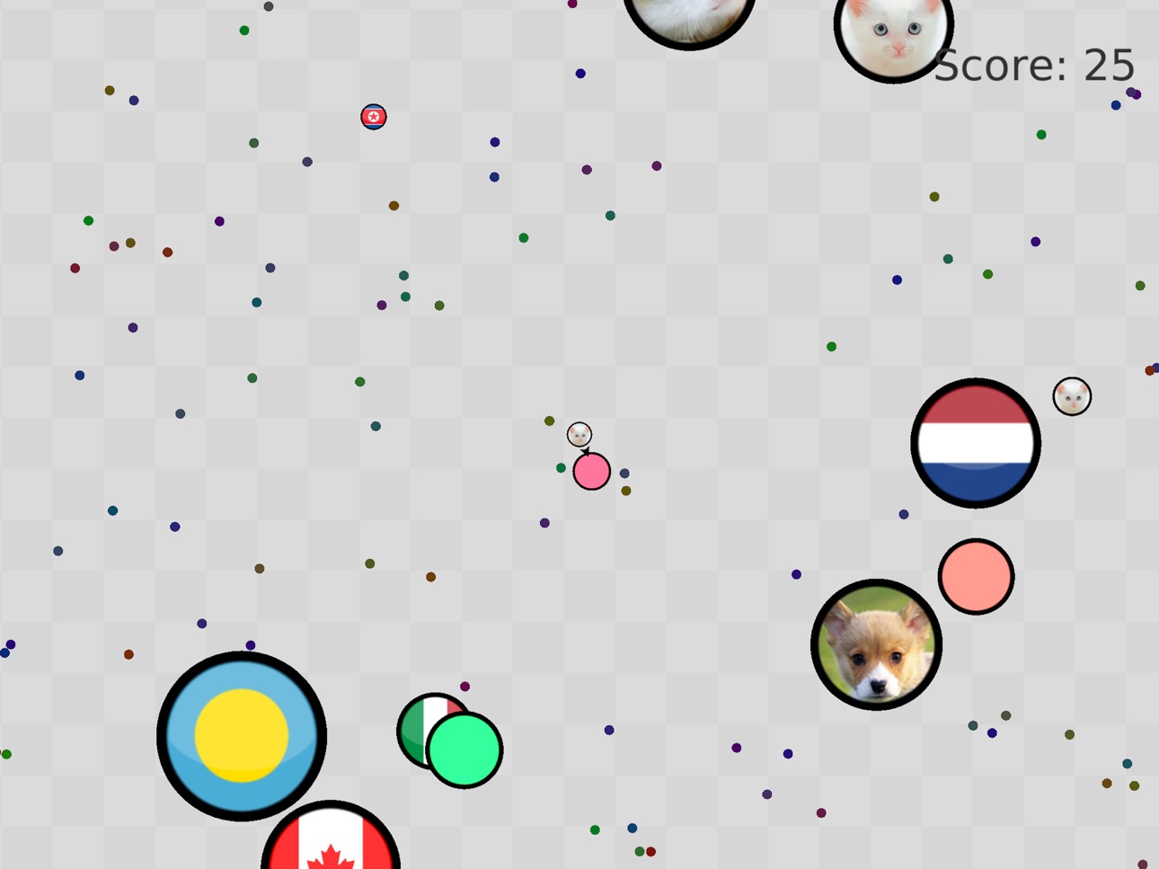 iPad screenshot