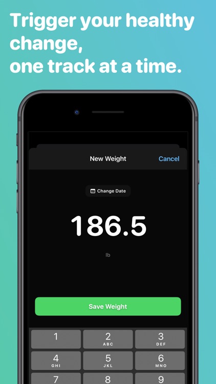 Weight tracker - Vekt screenshot-2