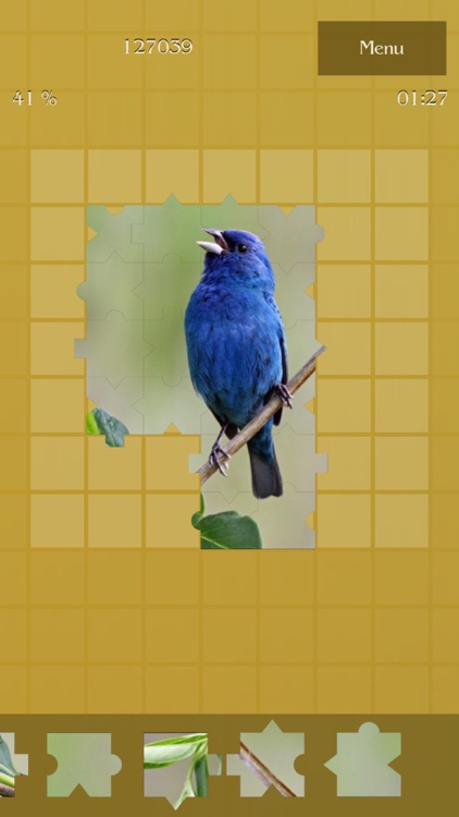 Amazing Photo Puzzles screenshot-3