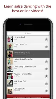 pocket salsa basics iphone images 1