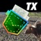 Texas Pocket Maps
