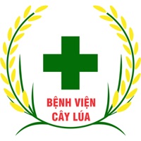 Bệnh viện cây lúa