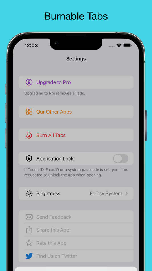 #3. Private Browser • Brovacy (iOS) 来自: Actowise LLC