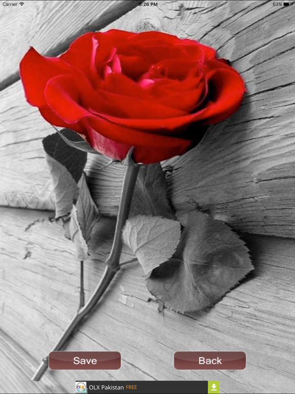 Screenshot #6 pour New Rose HD Wallpapers