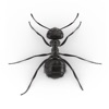 Ants and Bugs - Smash icon