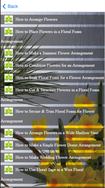How to Flower Arranging - Tips & Tricks