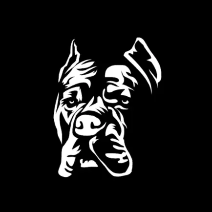 Sports Performance House Cheats