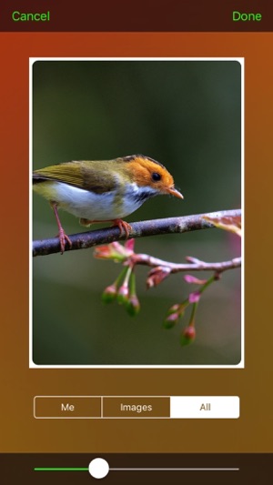 InstaFrames++(圖5)-速報App