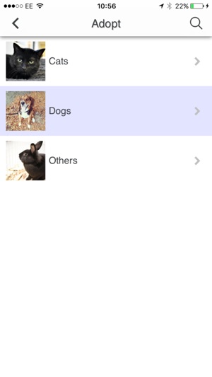 Windsor/Essex Humane Society(圖3)-速報App