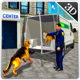 Police Dog Transport Truck & Minivan Drive