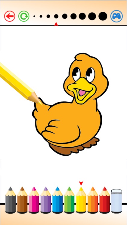 Pet Painting, Coloring and Drawing Animal for Kids