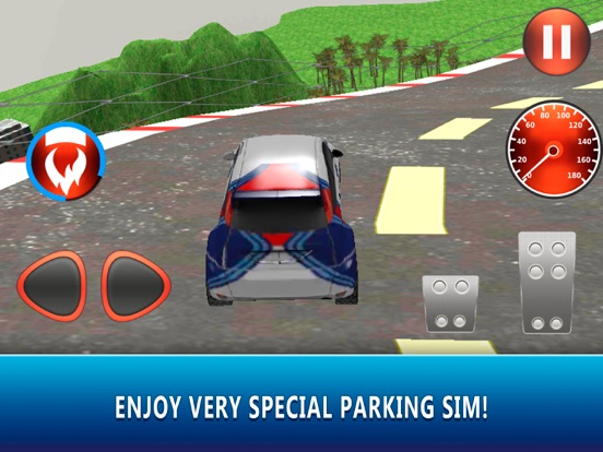 Car Roof Jumping & Parking Stunt