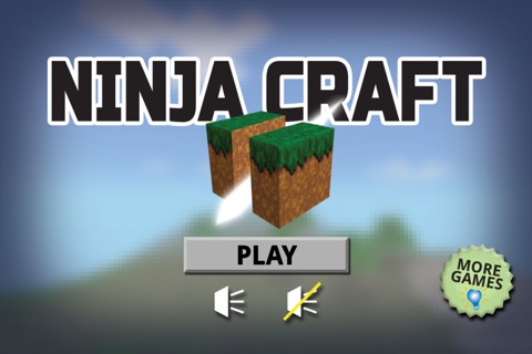 Ninja Craft - Find Gems Gameのおすすめ画像1