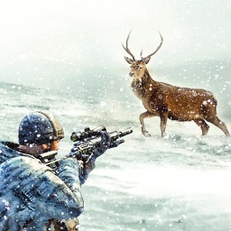 DEER HUNTING IN HUNTER VALLEY: CHAMPIONSHIP 2017