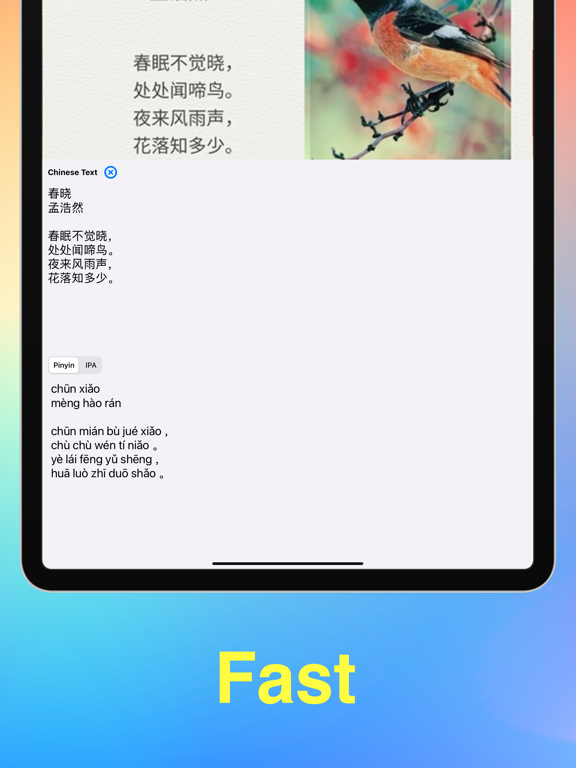 Screenshot #5 pour Mandarin Pinyin & IPA Central